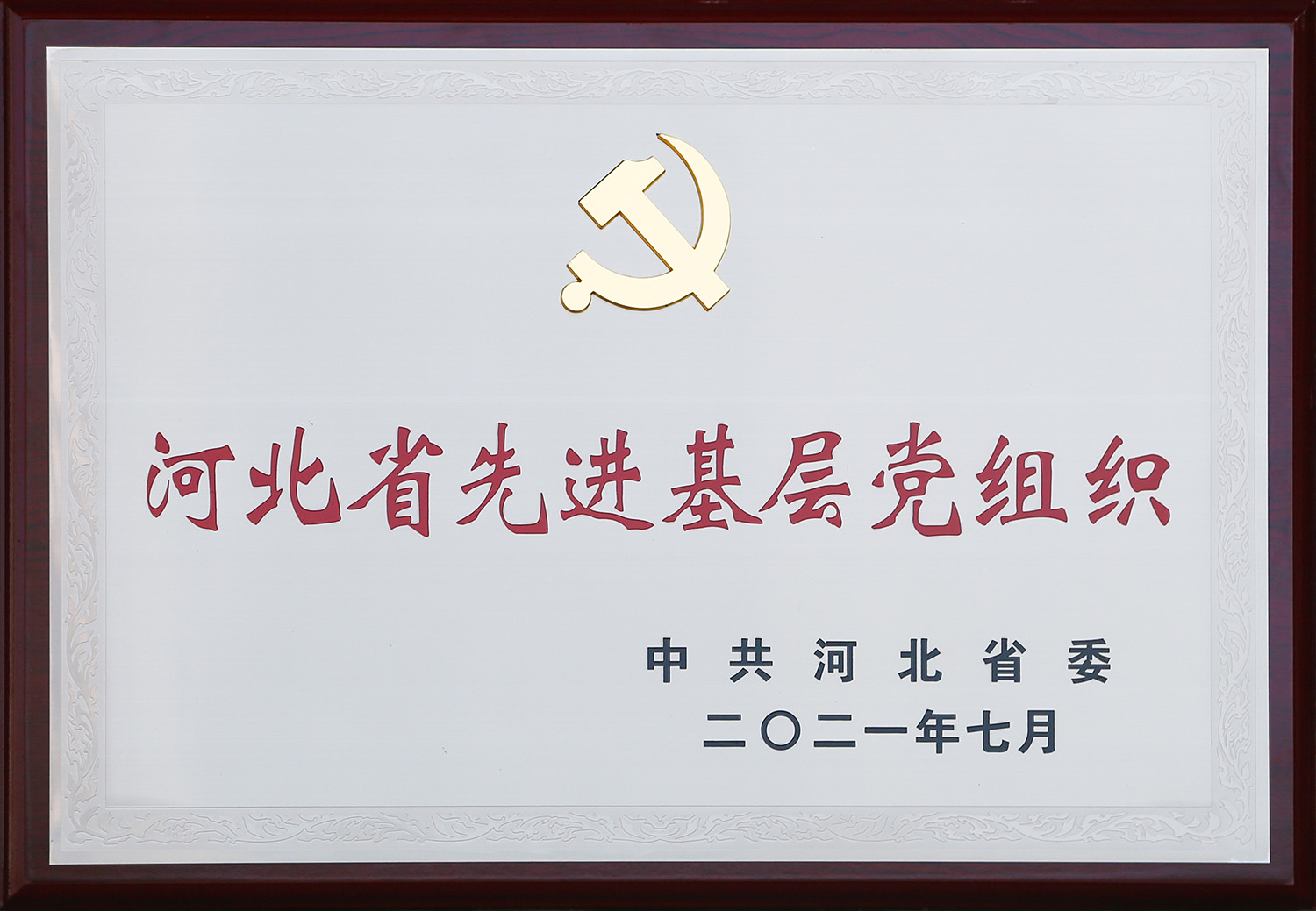 2021ӱʡȽ²㵳֯